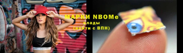 твердый Богородск