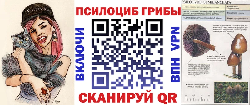 нарко площадка формула  наркота  kraken   Дербент  Псилоцибиновые грибы мухоморы 