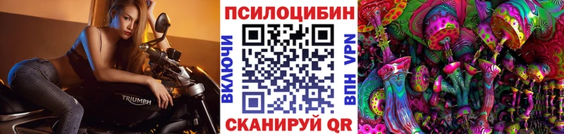 Псилоцибиновые грибы Cubensis Дербент